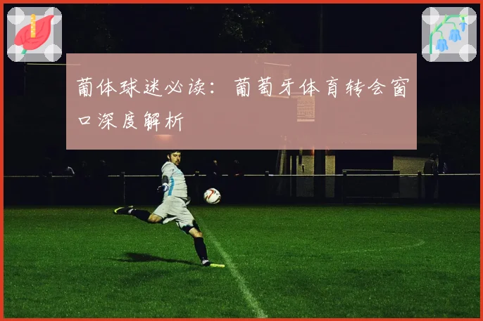 葡体球迷必读:葡萄牙体育转会窗口深度解析