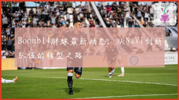 Boombl4胖球最新动态：从NaVi到新队伍的转型之路