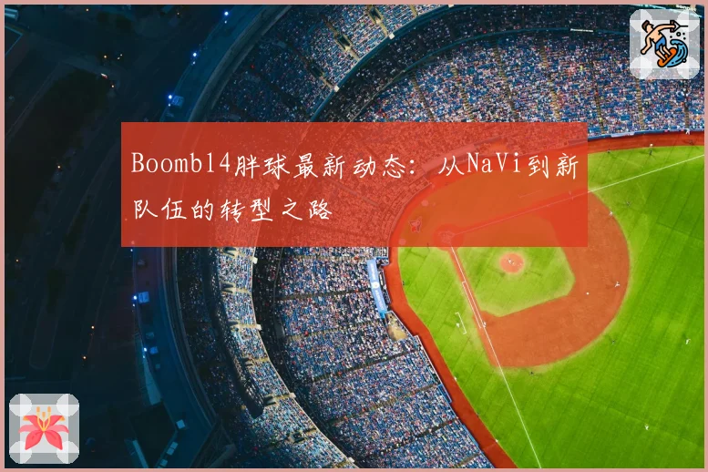 Boombl4胖球最新动态：从NaVi到新队伍的转型之路