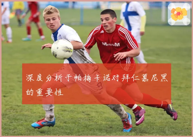 深度分析于帕梅卡诺对拜仁慕尼黑的重要性